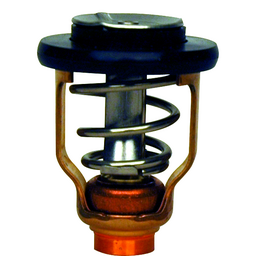 Thermostat (13026) thumbnail-0