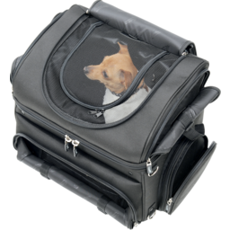 Pet Voyager thumbnail-4