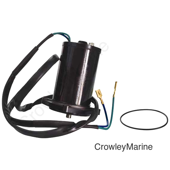Tilt & Trim Motor