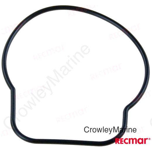 O-RING (REC17416-95J00)