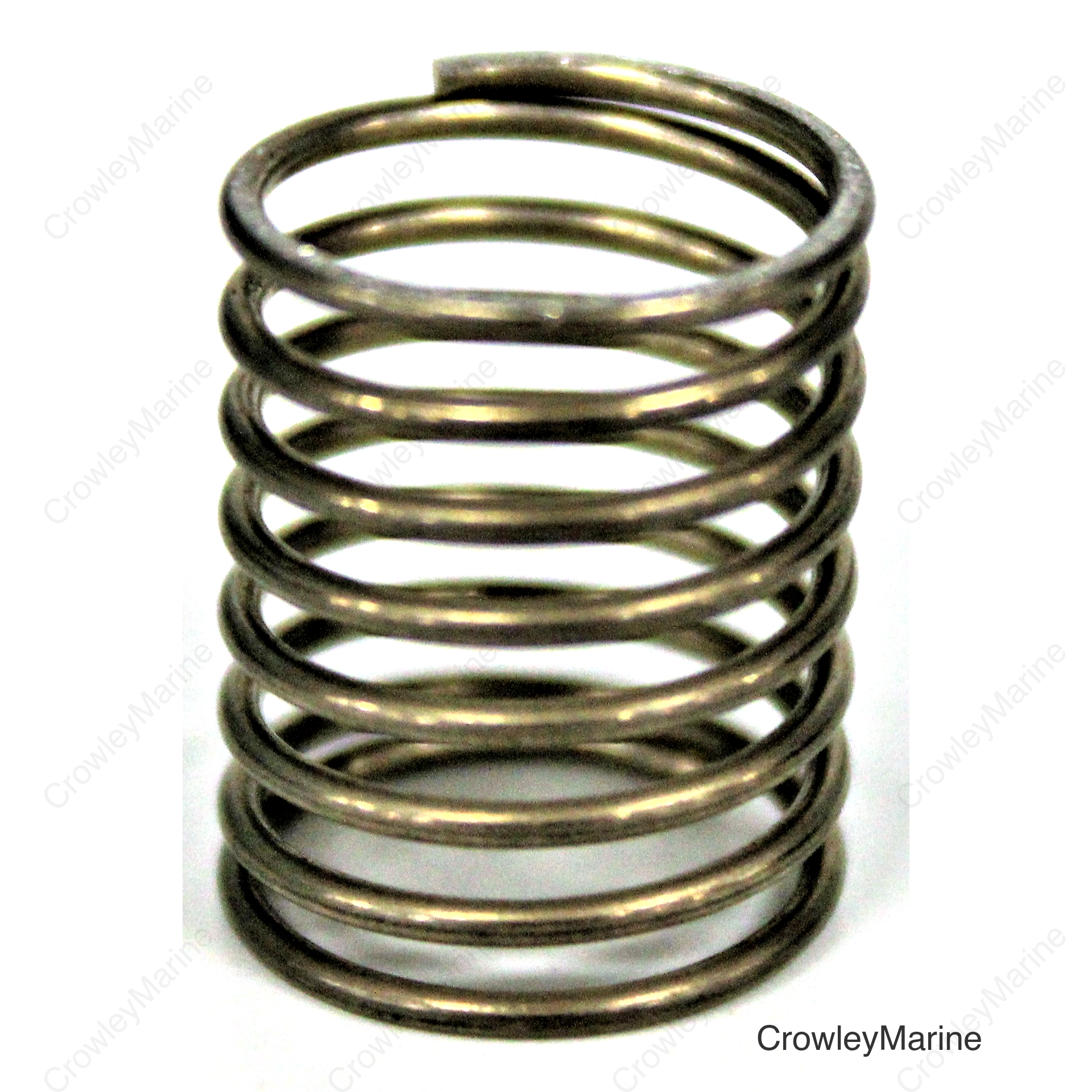 SPRING, FLUSH VALVE
