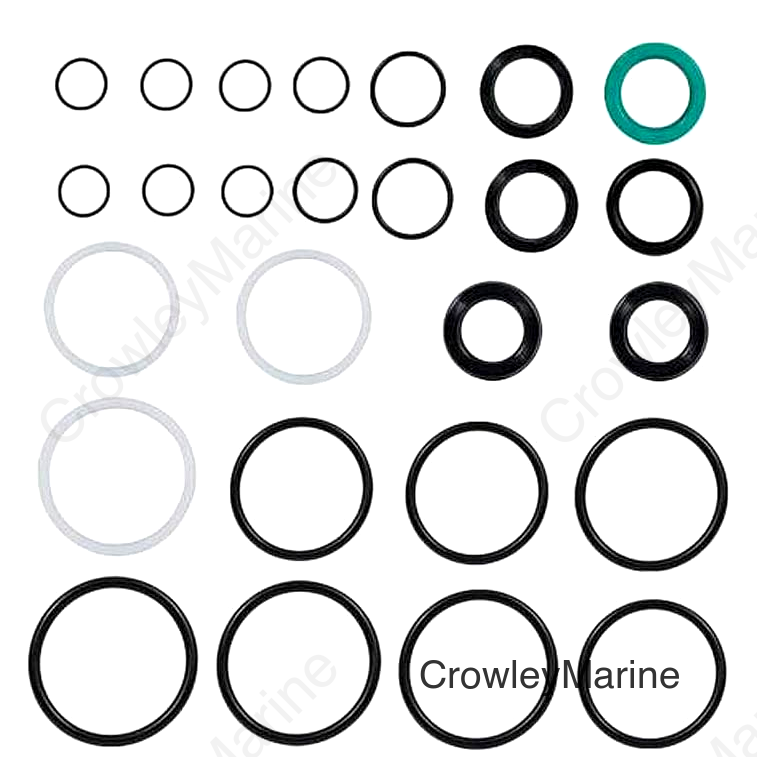 Seal Kit Trim/Tilt Cap & Cylinder