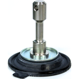 Diaphragm thumbnail-3