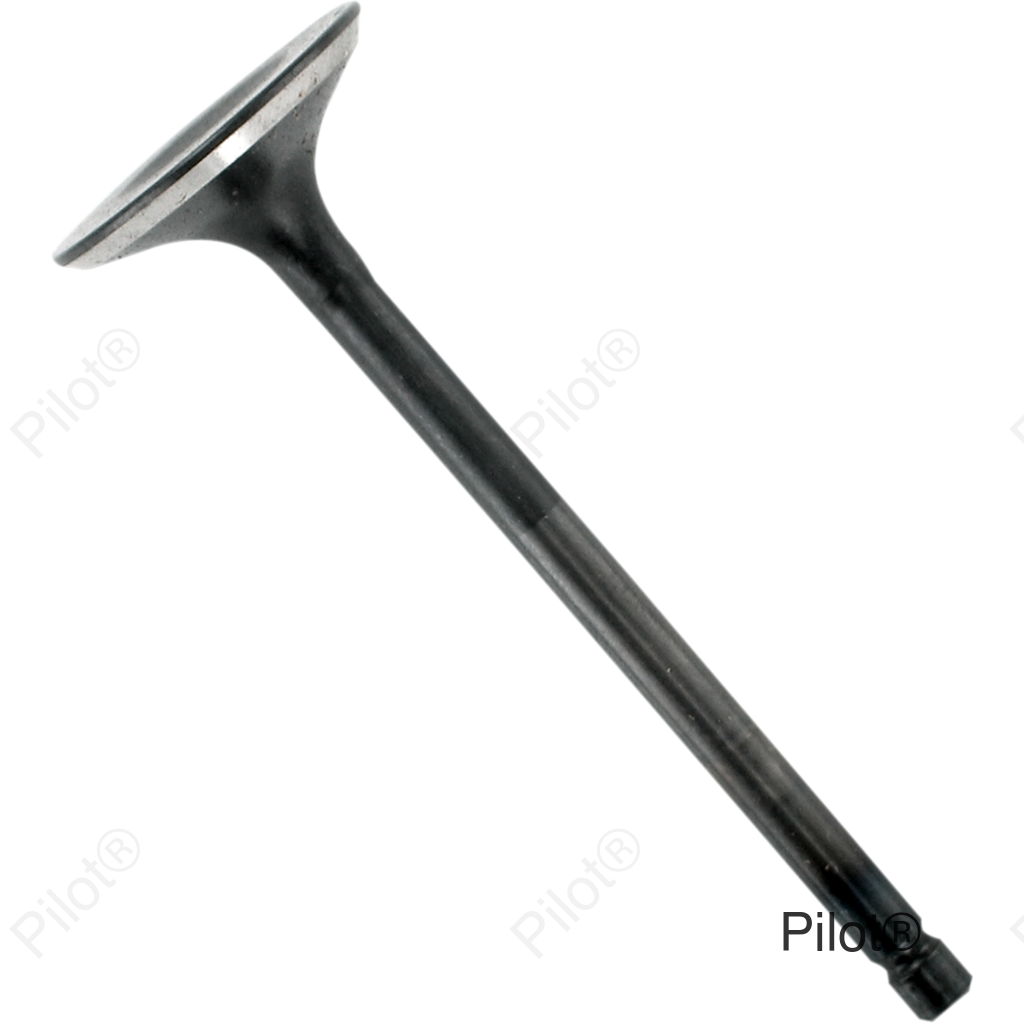 Exhaust Valve