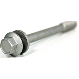 Bolt with Washer