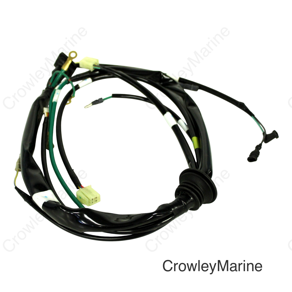WIRE HARNESS, ENGINE