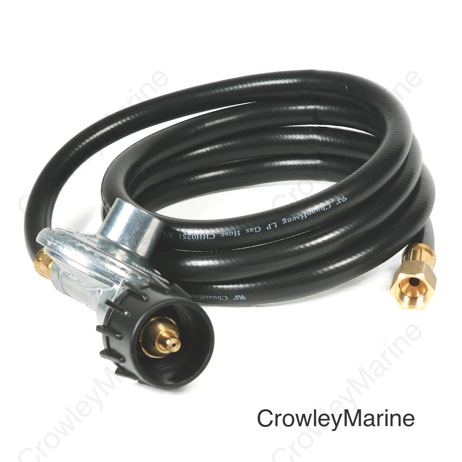 LP HOSE 6' W REGULATOR