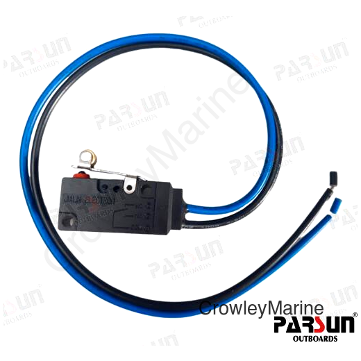 MICRO SWITCH
