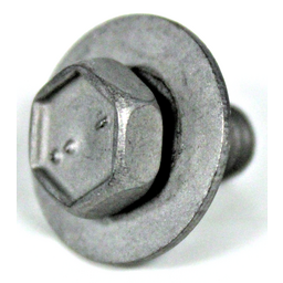 Bolt with Washer