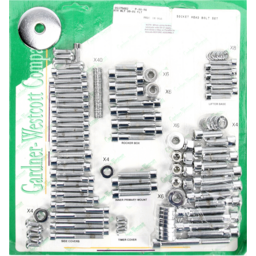 MOTOR BOLT SET 99-06 FLT