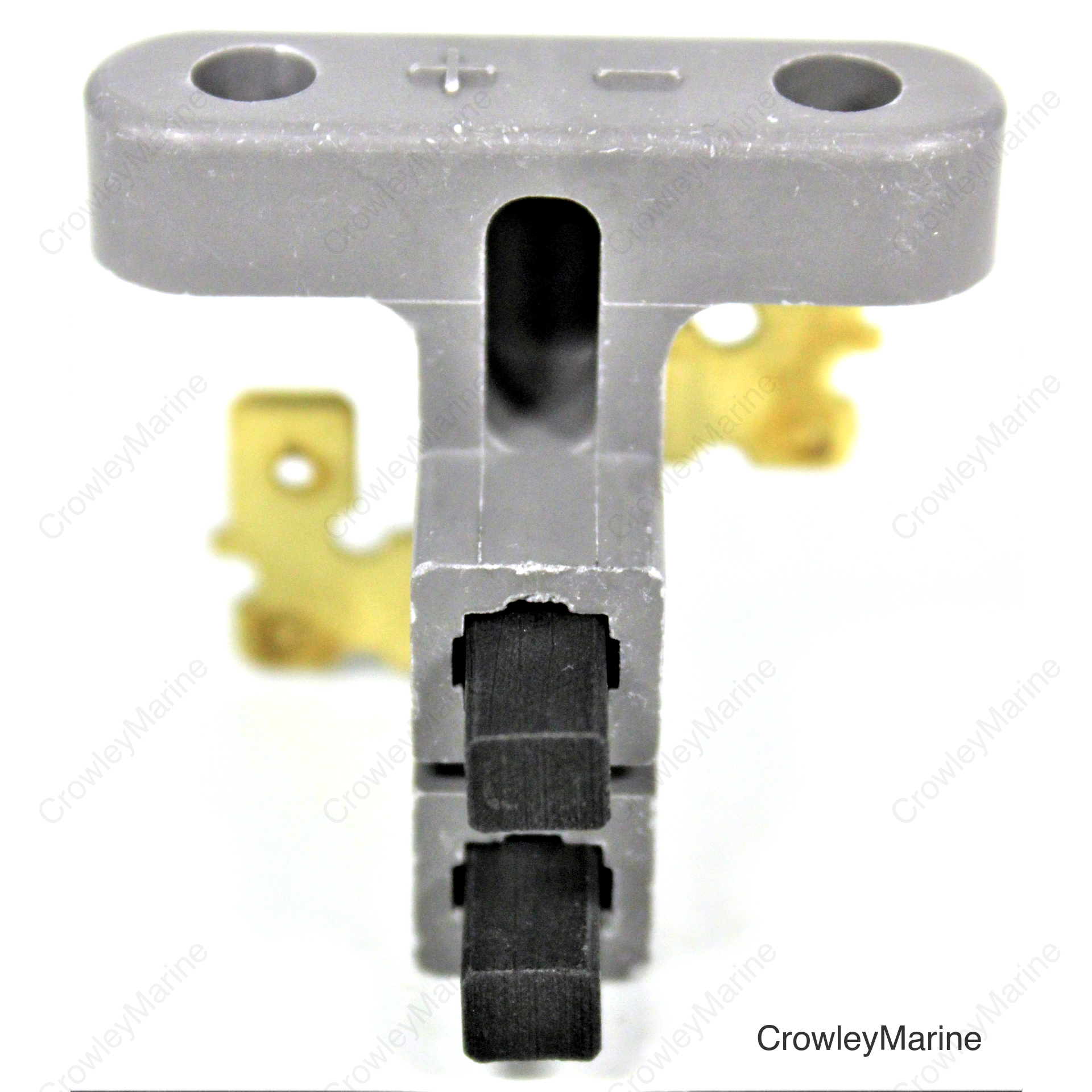 BRUSH ASSY.