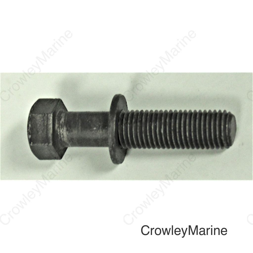 Bolt with Washer