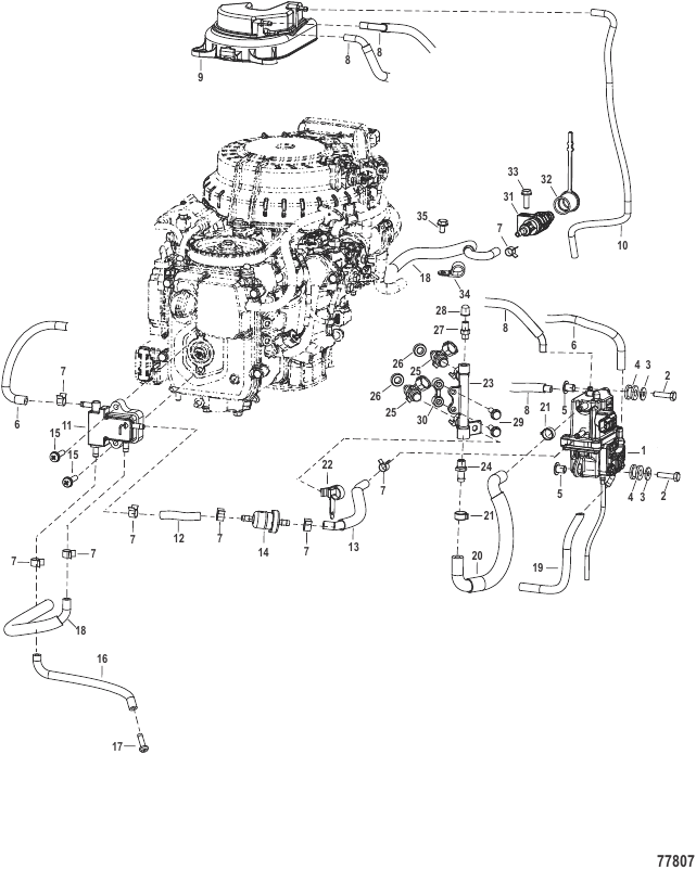 Serial Range Outboard 8 EFI (2 CYL.)(4-STROKE)(209cc) - 1R281445 & Up - Fuel System