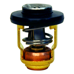 Thermostat (13012)