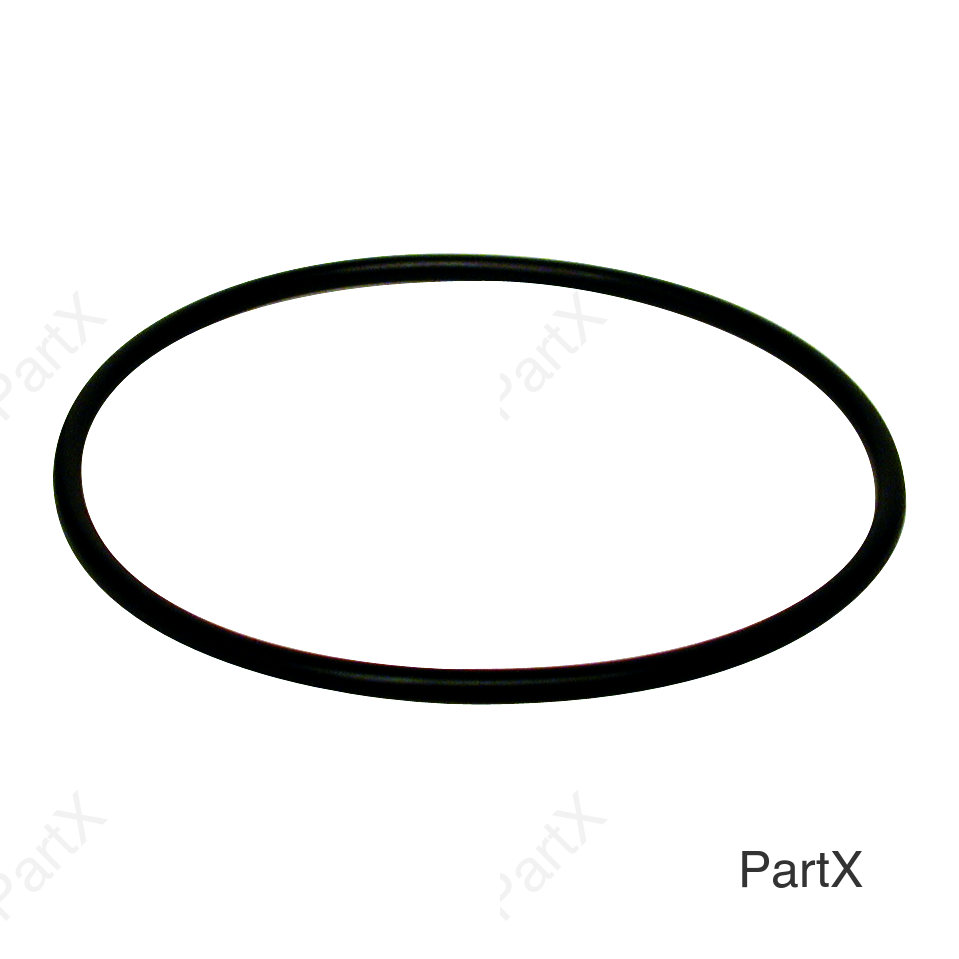 O-Ring (81380)