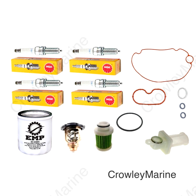 Service Kit, 100 Hour Basic 
