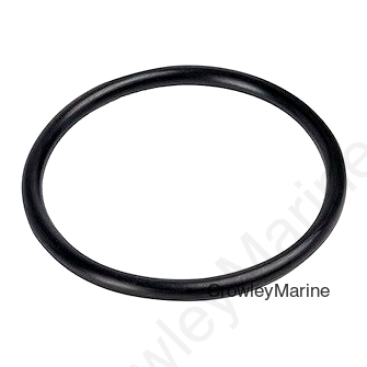 LARGE CAP O-RING REPLACEMENT BAGGED