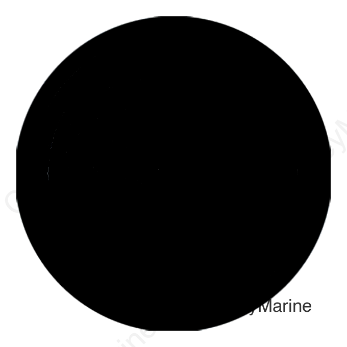Seachoice Instrument Panel Hole Cover, Black,  2-1/16 In.