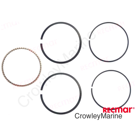 PISTON RING SET (REC69M-E1603-01)
