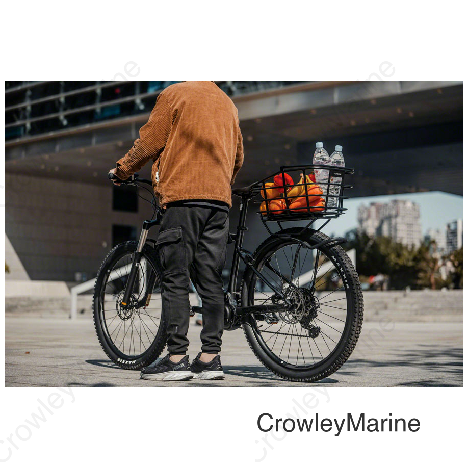 Topeak Urban Basket DX - 22L Black
