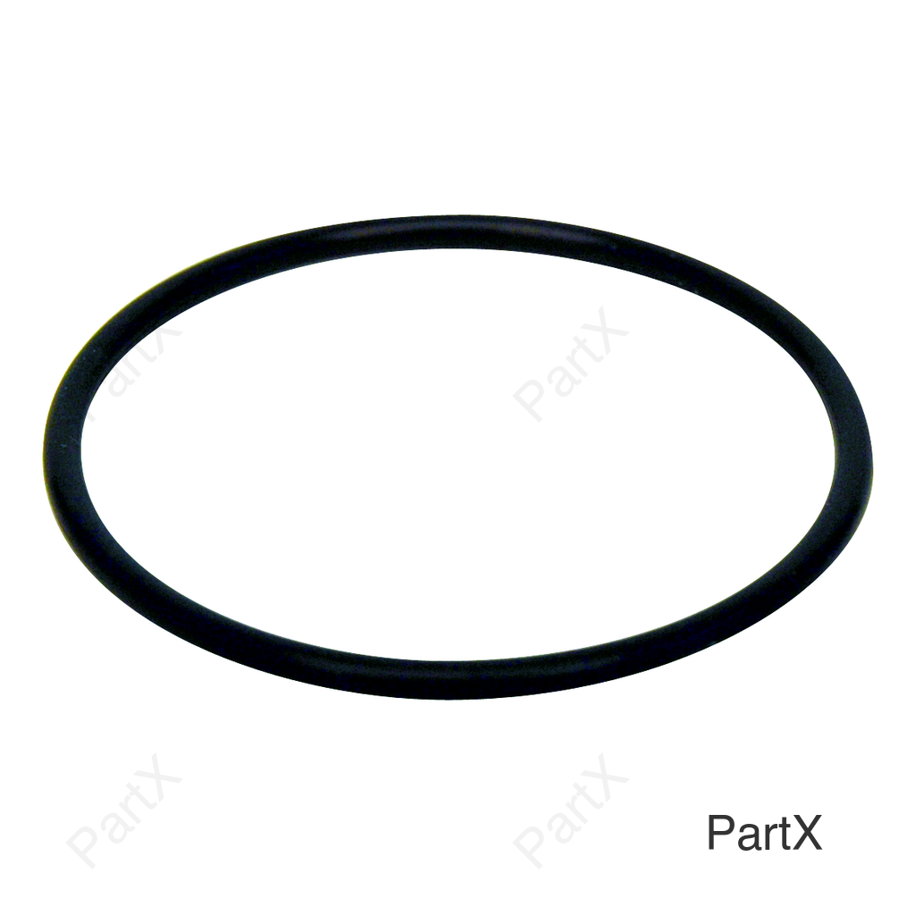 O-Ring (84360)
