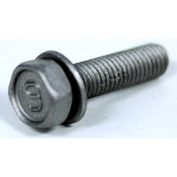 Bolt with Washer