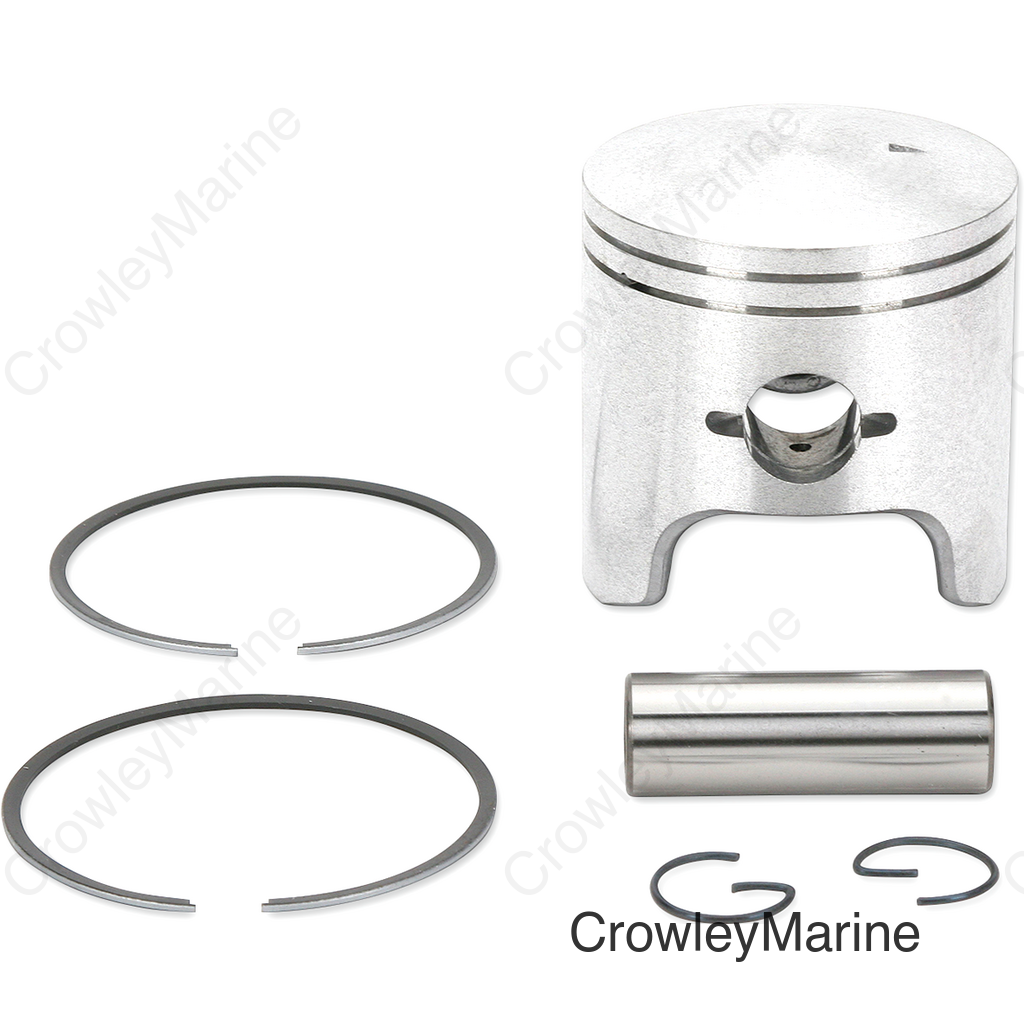 PISTON ASSY, ARCTIC STD.