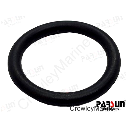 O-RING