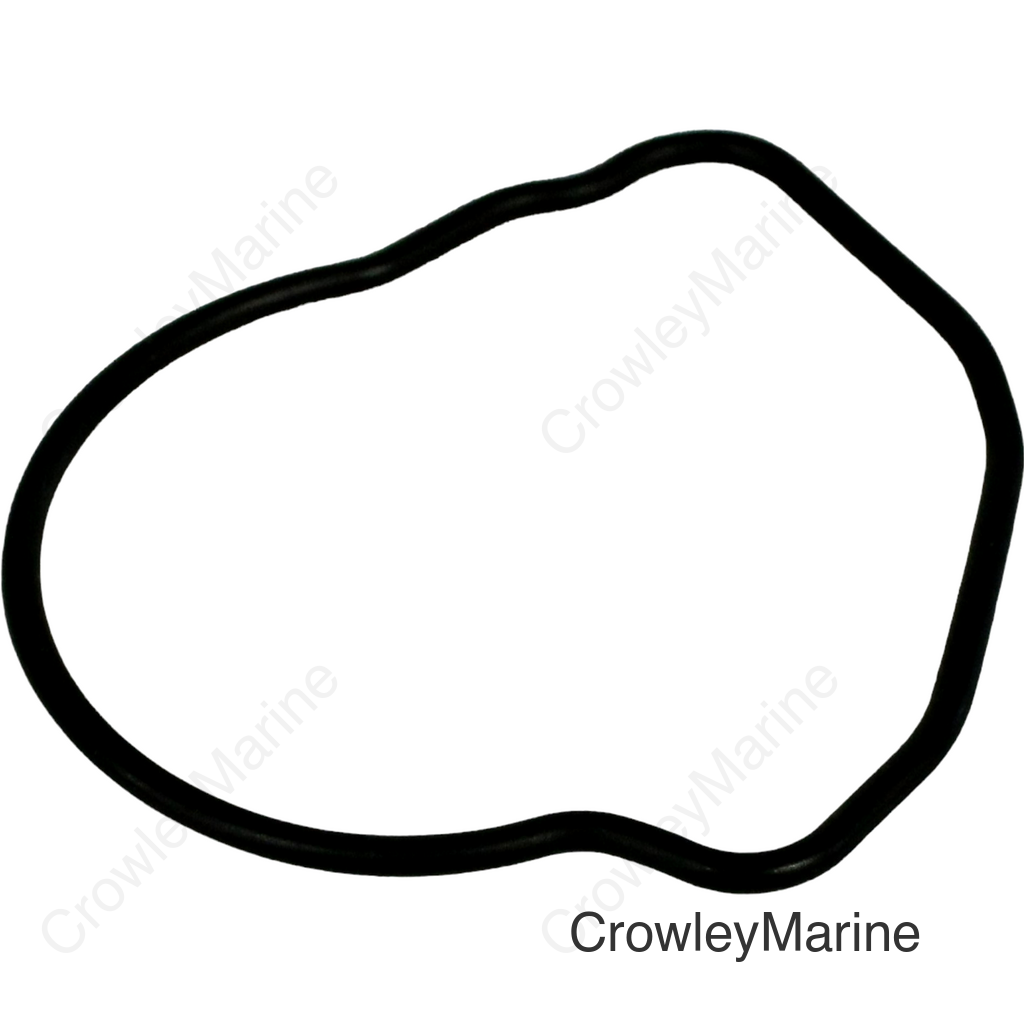 O-RING, PUMP COVER