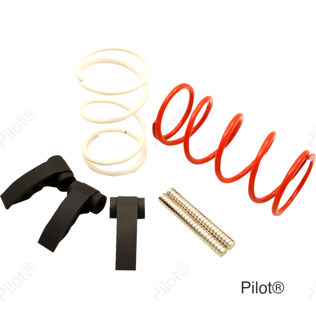 Clutch Kit - RZR Pro R