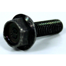 Flange Bolt