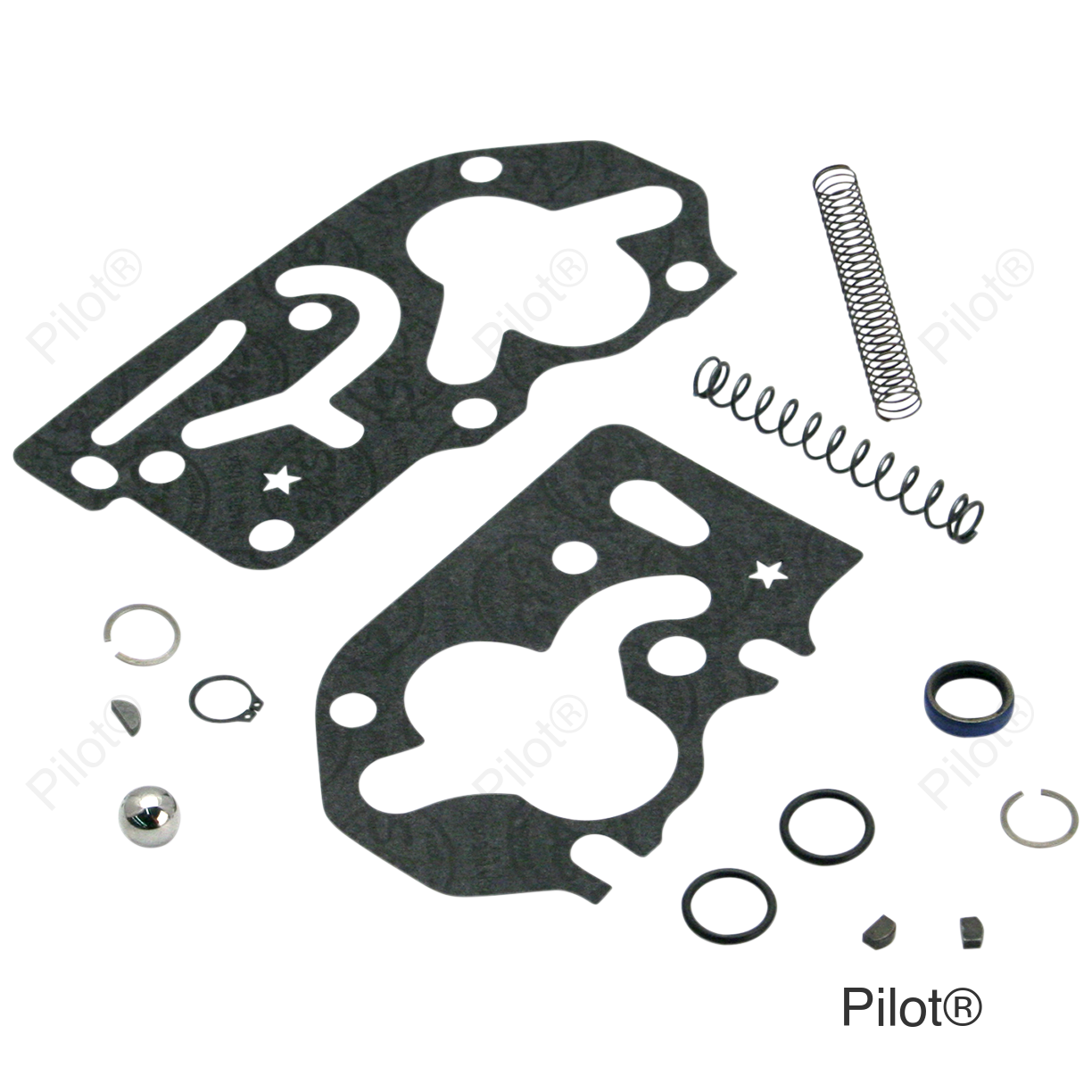 HVHP Master Oil Pump Rebuild Kit