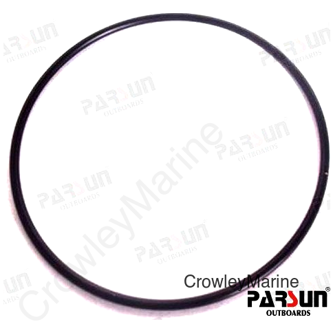 O-RING