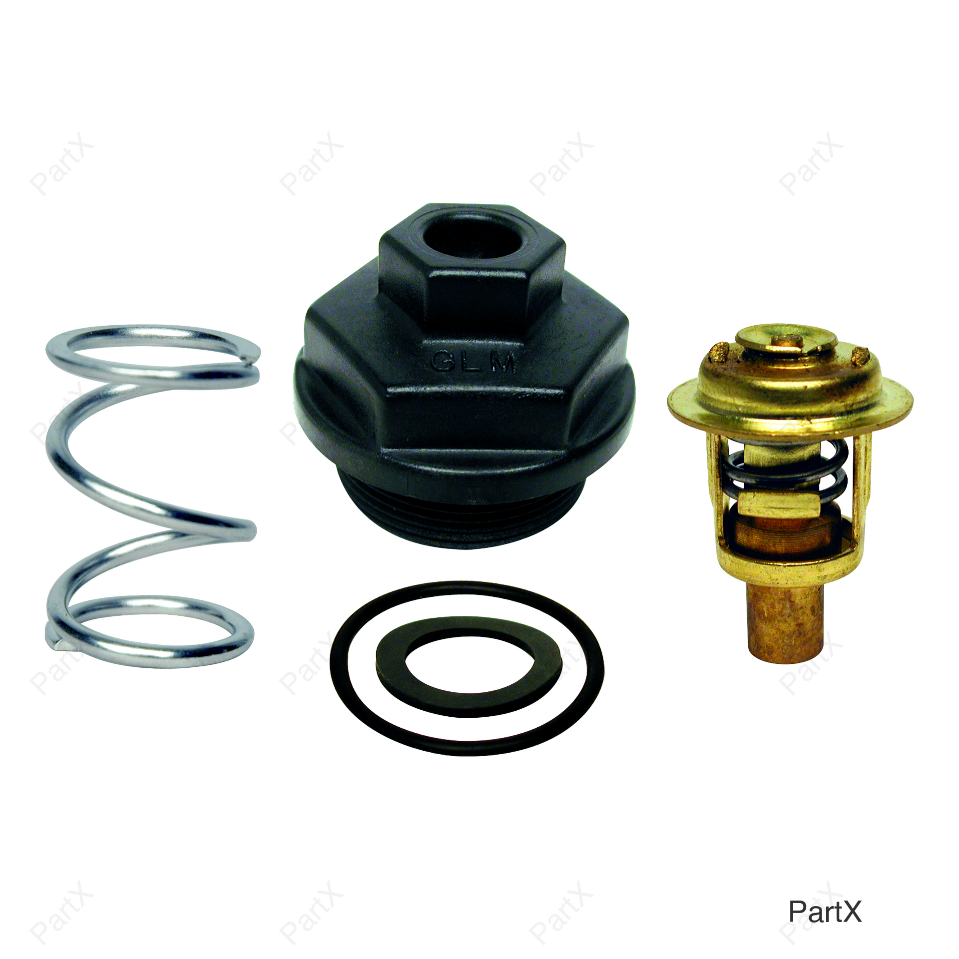 Thermostat Kit (13500)
