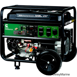 P9500DF EFI GENERATOR