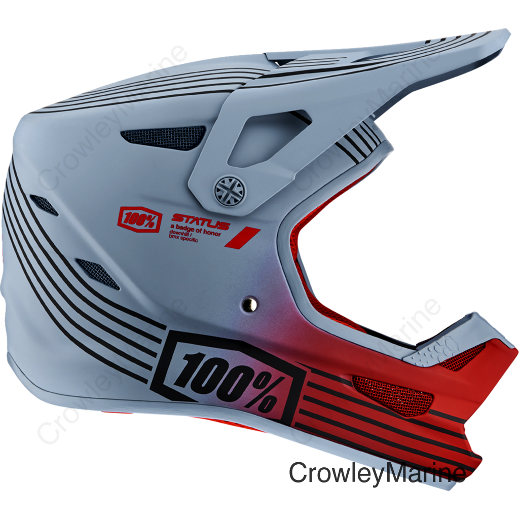 Status Helmet - Caltec/Gray - Medium