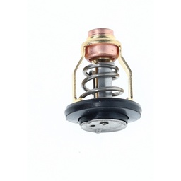 Thermostat thumbnail-6