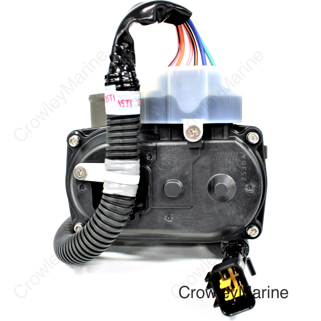 Throttle Body Assembly