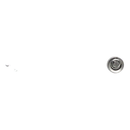 Carburetor Service Kit (40698) thumbnail-20