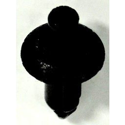 RIVET