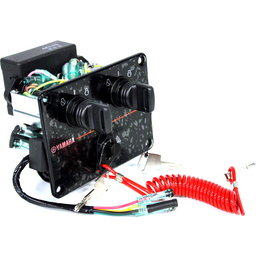 PANEL, TWIN SWITCH ASSY