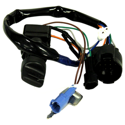 SWITCH ASSY,IGN