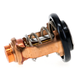 THERMOSTAT,WATE thumbnail-9