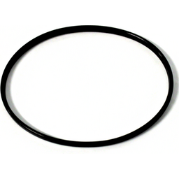 O-Ring thumbnail-3
