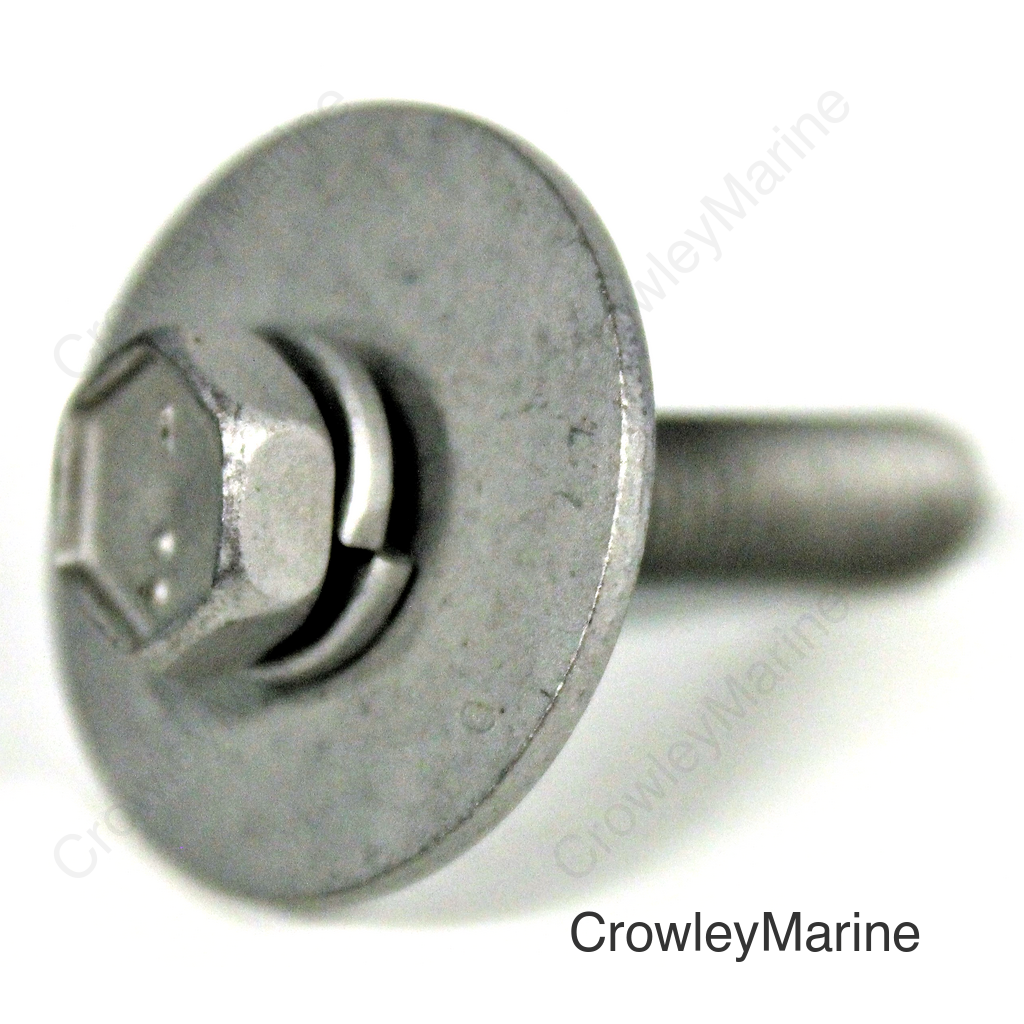 Bolt with Washer