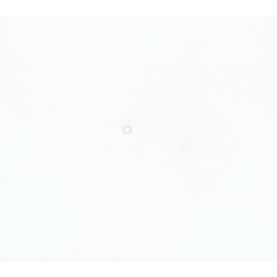 CARBURETOR KIT (REC396701) thumbnail-28