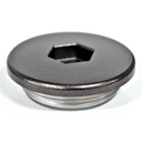 Straight Screw Plug
