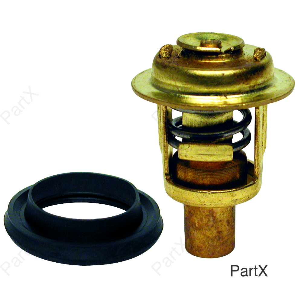 Thermostat (13010)