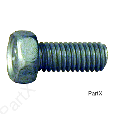 Screw