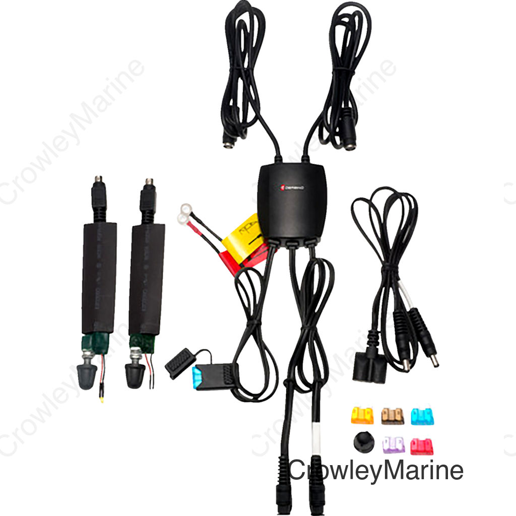 CONTROLLER DUAL PERMANENT 12V